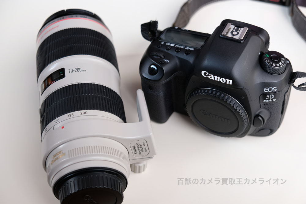 スポーツ撮影におすすめなカメラとレンズは？（カメラ編）